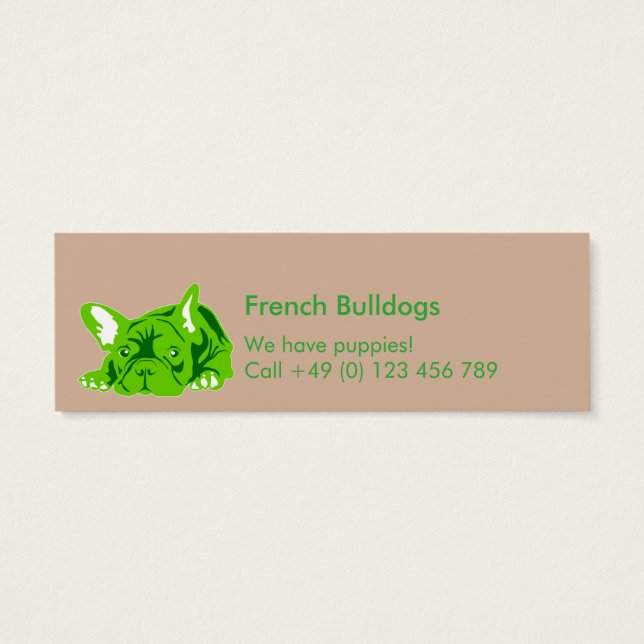 Bulldogs (Rückseite)
