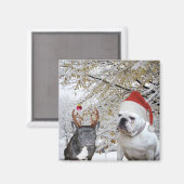 Bulldogs Christmas Magnet (Vorderseite/Rückseite)
