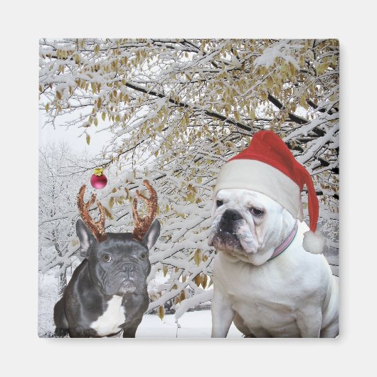 Bulldogs Christmas Magnet (Vorne)