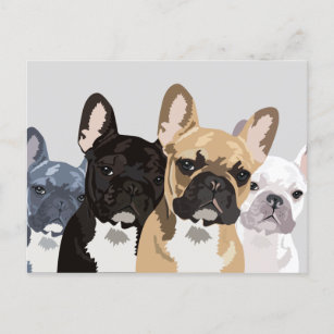 Bulldogs   Niedlicher Bulldog Postkarte