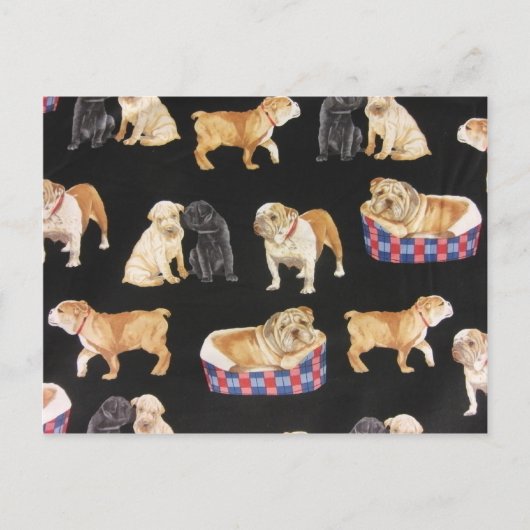 Bulldogs & Shar Peis Postkarte (Vorderseite)