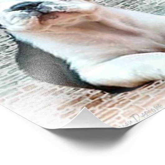 Bulldohund Fotodruck (Ecke)