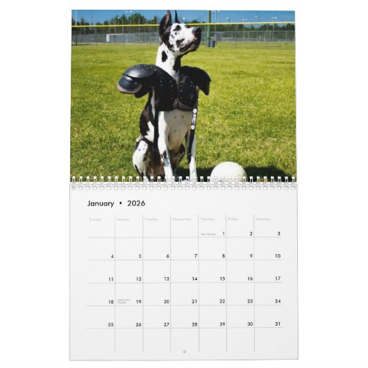 Bulldozer der Therapie-Hundekalender Kalender (Jan 2026)