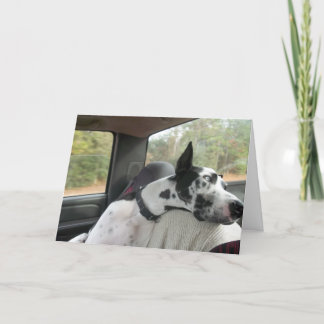 Bulldozer-Gruß-Karte Karte