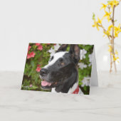 Bulldozer-Gruß-Karten Karte (Gelbe Blume)