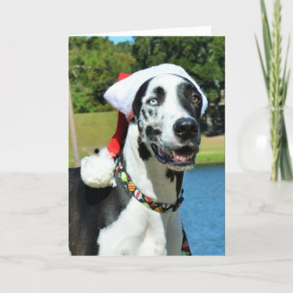 Bulldozer-Weihnachtskarten Feiertagskarte