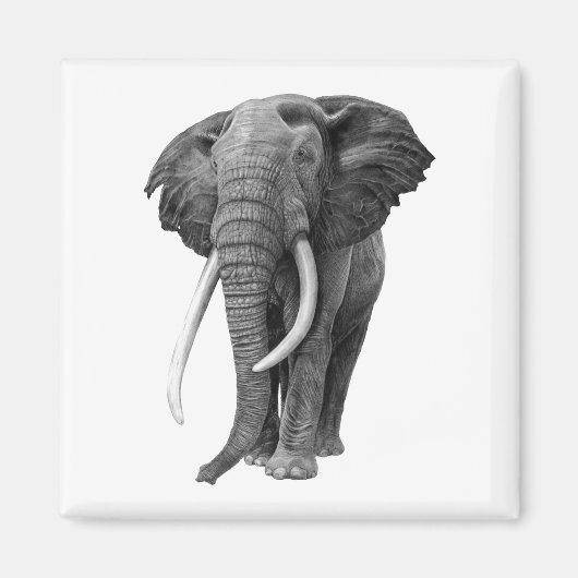 Bulle Elefant - Zeichnend im Stift Magnet (Vorne)