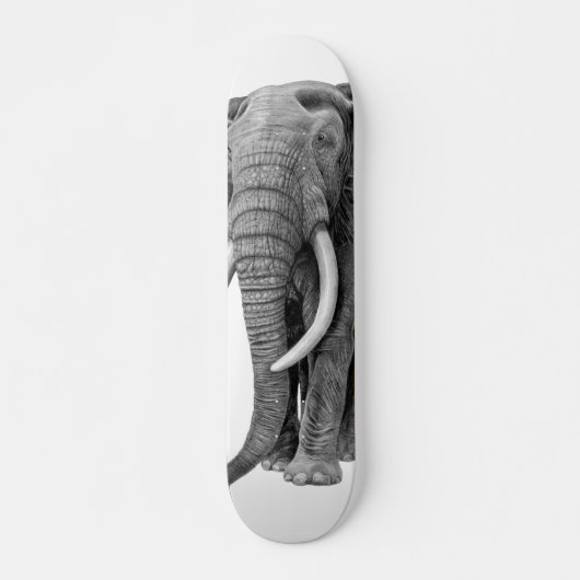 Bulle Elefant - Zeichnend im Stift Skateboard (Vorne)