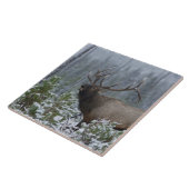 Bulle Elk im Schnee rufen, buglen, Gelbstein Fliese (Seite)
