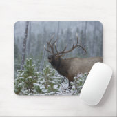 Bulle Elk im Schnee rufen, buglen, Gelbstein Mousepad (Mit Mouse)