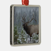 Bulle Elk im Schnee rufen, buglen, Gelbstein Ornament Aus Metall (Rechts)
