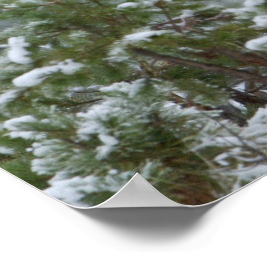 Bulle Elk im Schnee rufen, buglen, Gelbstein Poster (Ecke)