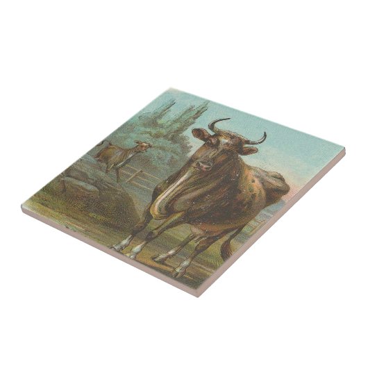 Bulle Fliese (Seite)