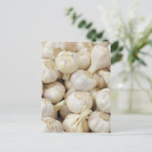 Bullen, frisch postkarte (Stehend Vorderseite)