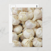 Bullen, frisch postkarte (Vorne/Hinten)