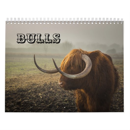 Bullen Kalender (Titelbild)
