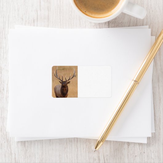 Bullenelch Adressaufkleber (Insitu)