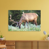 BullenElch mit Geweiden in Samt Leinwanddruck (Insitu (Wohnzimmer))
