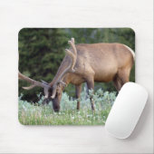 BullenElch mit Geweiden in Samt Mousepad (Mit Mouse)