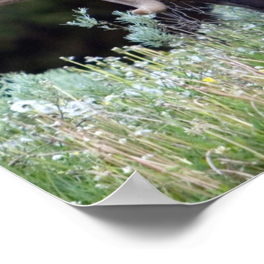 BullenElch mit Geweiden in Samt Poster (Ecke)