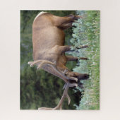 BullenElch mit Geweiden in Samt Puzzle (Vertikal)