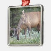 BullenElch mit Geweiden in Samt Silbernes Ornament (Links)