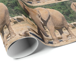 Bullenelefanten-Geschenkpapier Geschenkpapier