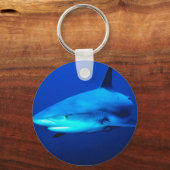 Bullenhai Schlüsselanhänger (Vorderseite)