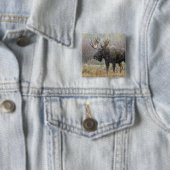 Bullenmuh im Schneesturm mit Aspen Button (Beispiel)