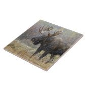 Bullenmuh im Schneesturm mit Aspen Fliese (Seite)