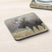 Bullenmuh im Schneesturm mit Aspen Getränkeuntersetzer (Linke Seite)