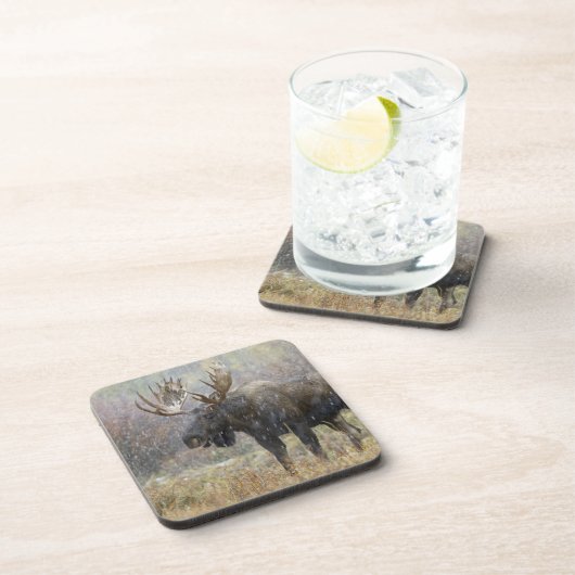 Bullenmuh im Schneesturm mit Aspen Getränkeuntersetzer (Rechte Seite)