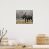 Bullenmuh im Schneesturm mit Aspen in Poster (Küche)