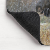 Bullenmuh im Schneesturm mit Aspen Mousepad (Ecke)