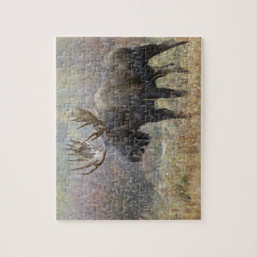 Bullenmuh im Schneesturm mit Aspen Puzzle (Vertikal)