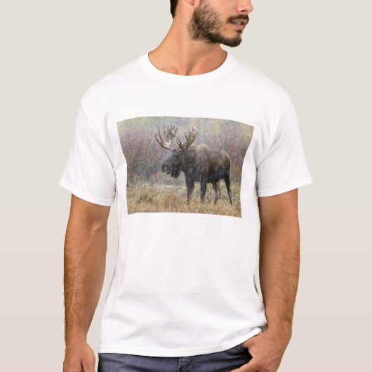 Bullenmuh im Schneesturm mit Aspen T-Shirt (Vorderseite)