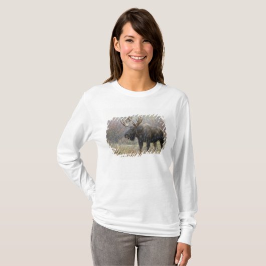 Bullenmuh im Schneesturm mit Aspen T-Shirt (Vorne ganz)