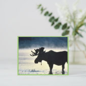 Bullenmuschel Postkarte (Stehend Vorderseite)