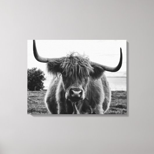 Bullenportrait Leinwanddruck (Vorderseite)
