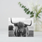 Bullenportrait Postkarte (Stehend Vorderseite)