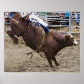 Bullenreiter am Rodeo Poster (Vorne)