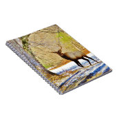 > Bullenschneegel Notizblock (Rechte Seite)