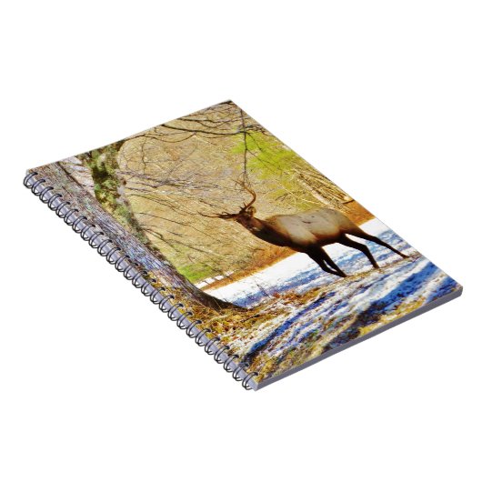 > Bullenschneegel Notizblock (Rechte Seite)