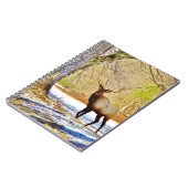 > Bullenschneegel Notizblock (Linke Seite)