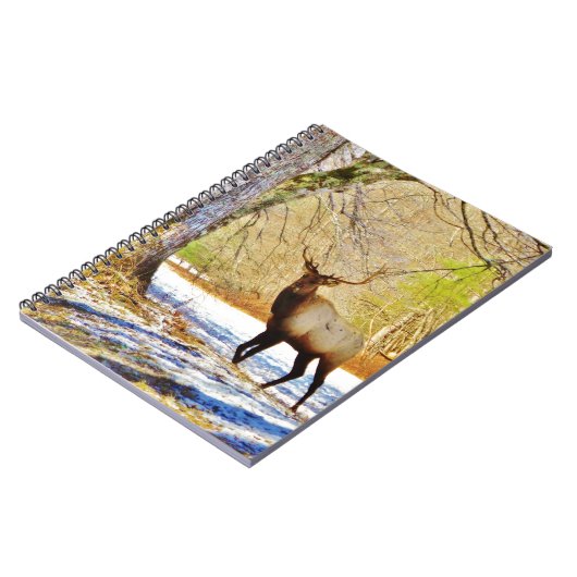 > Bullenschneegel Notizblock (Linke Seite)