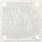 Bullenstech im Herbstwald Glasuntersetzer (Rückseite)