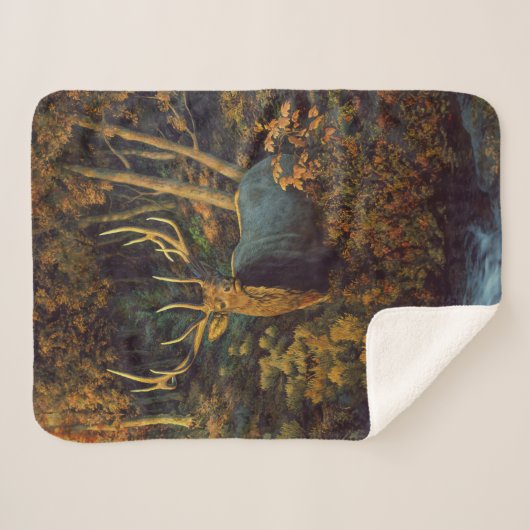 Bullenstech im Herbstwald Sherpadecke (Vorderseite (Horizontal))