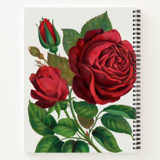 Bullet Journal mit großer Rose Notizblock (Rückseite)