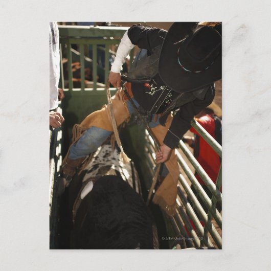 Bullfahrer binden Stier im Rutschstiel Postkarte (Vorderseite)