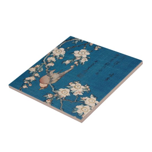 Bullfinch auf einer weinenden Kirschniederlassung Fliese (Seite)